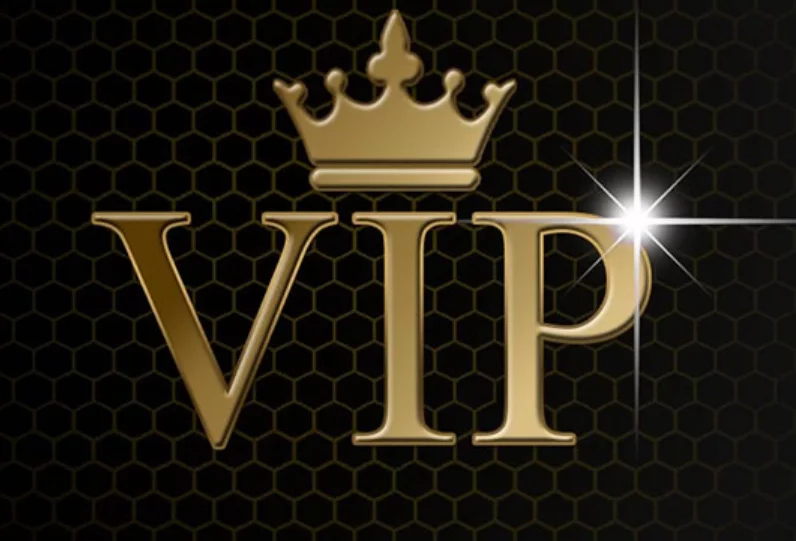 online casino VIP